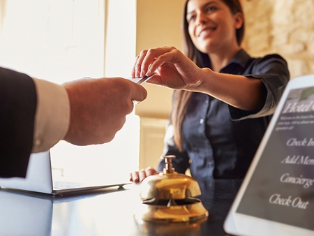 viborg natportier job